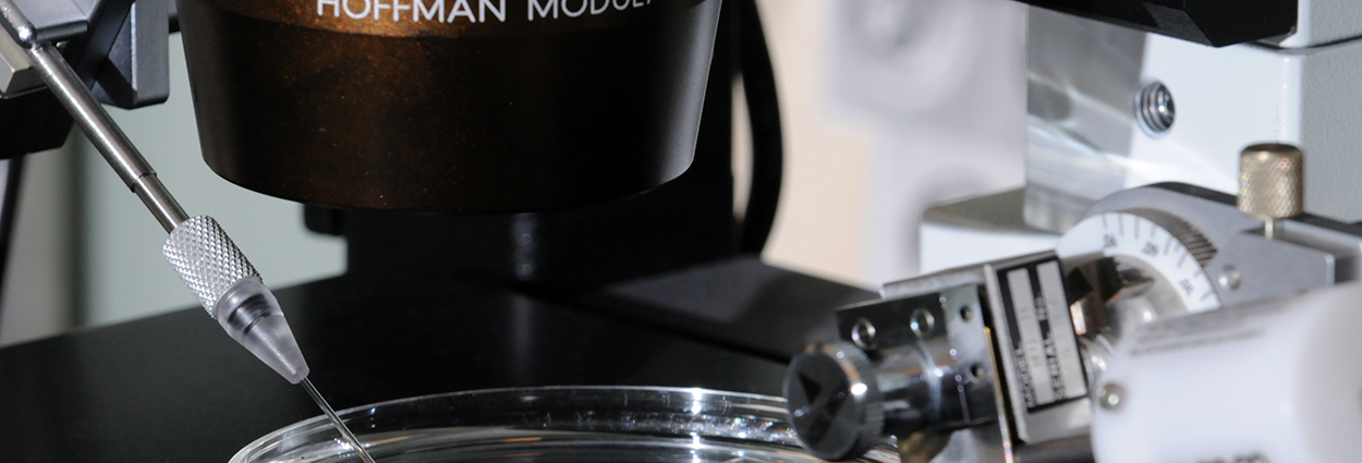 Micromanipulation banner